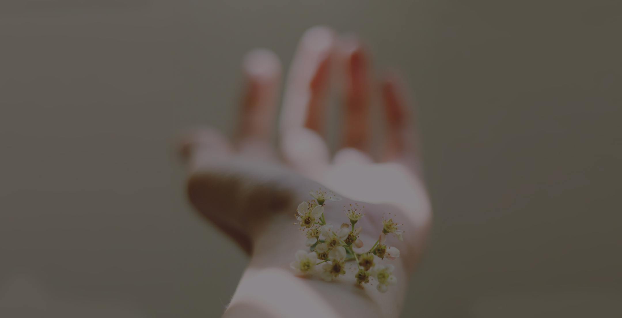image-undefined